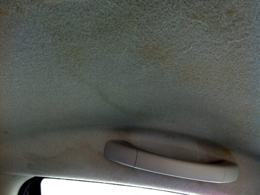 เพดานรถยนต์ขึ้นรา