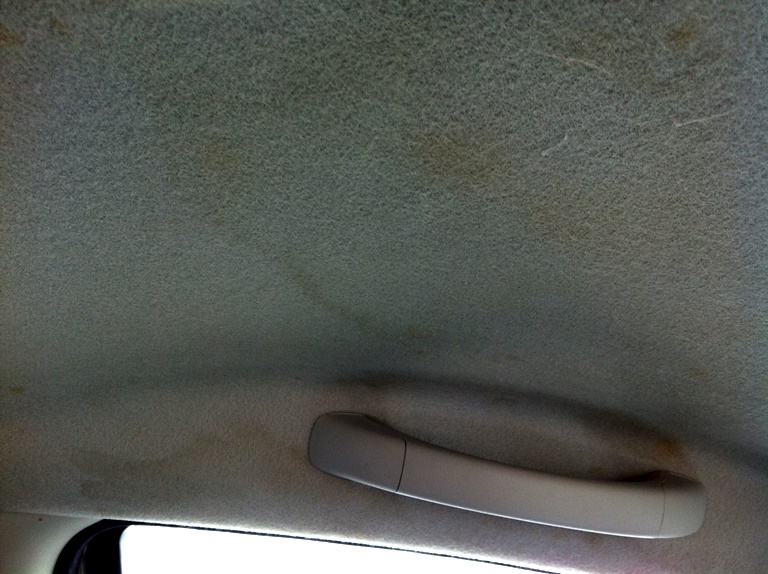 เพดานรถยนต์ขึ้นรา